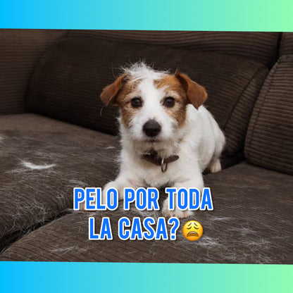 Cepillo Automático A Vapor 3 En 1 Para Mascotas