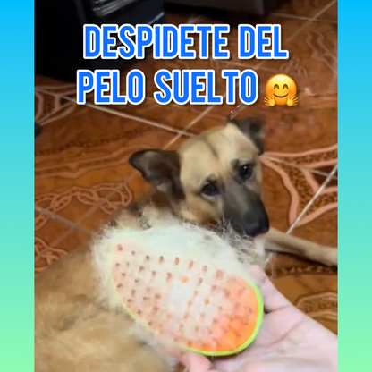 Cepillo Automático A Vapor 3 En 1 Para Mascotas