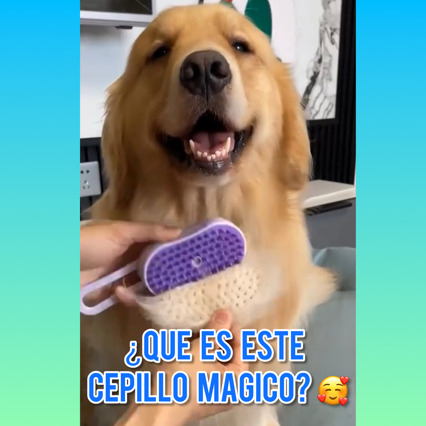 Cepillo Automático A Vapor 3 En 1 Para Mascotas