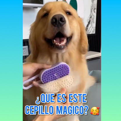 Cepillo Automático A Vapor 3 En 1 Para Mascotas